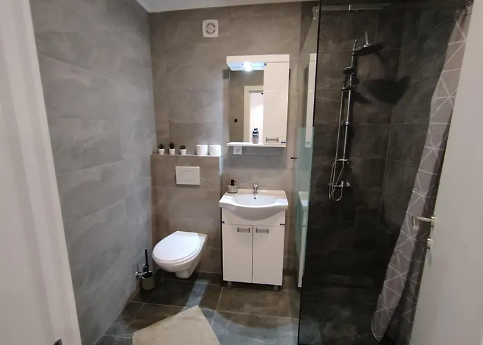 Silver 1 & 公寓 Veliko Gradište