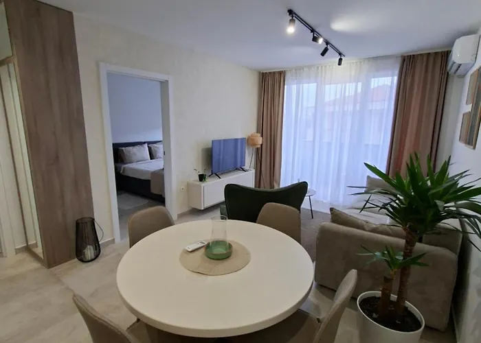 公寓 Silver 1 & Veliko Gradište